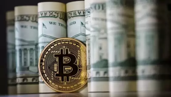 比特币价格上涨的关键因素有哪些?