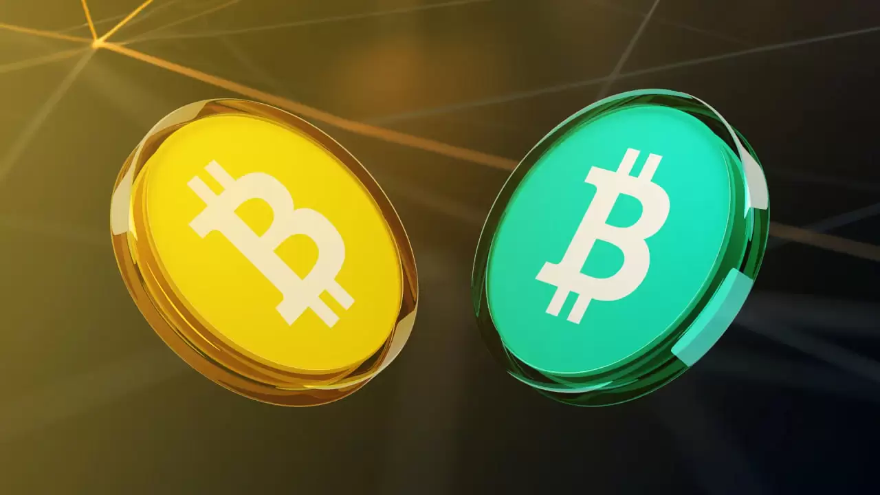 比特币现金与比特币的差异解析